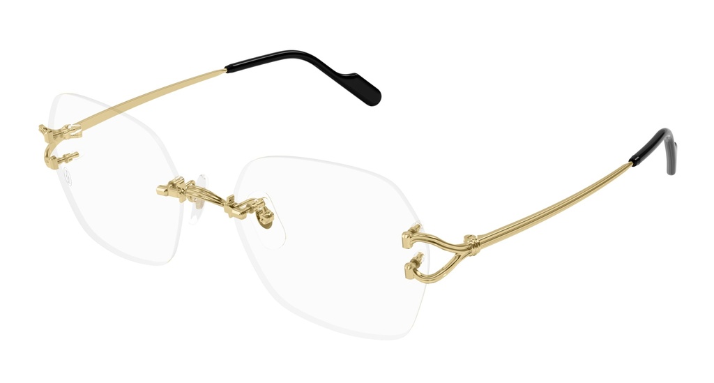 Cartier CT0564O