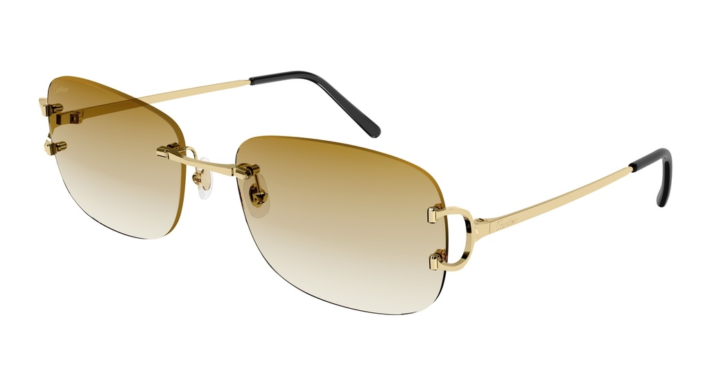 Cartier CT0011RS