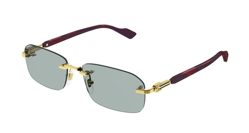 [889652394213] Gucci GG1221S FW
