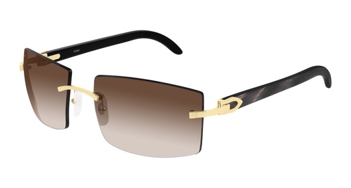 [843023140755] Cartier CT0021RS