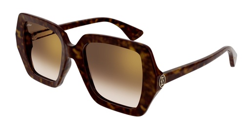 [843023178970] Cartier CT0507S